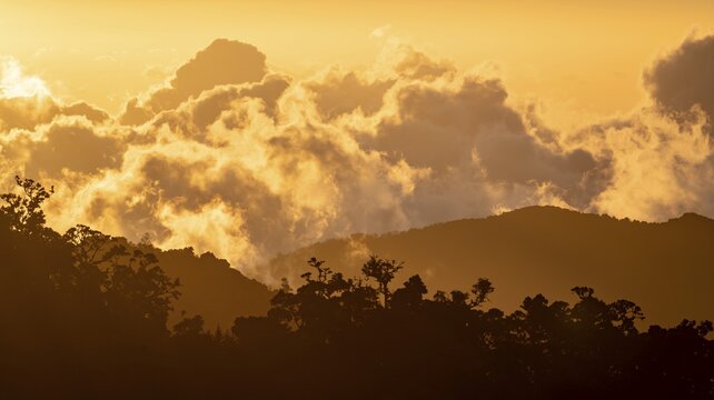 Evening mood, clouds over cloud forest, mountain rainforest, Parque Nacional Los Quetzales, Costa Rica