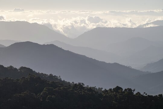 Clouds over cloud forest, mountain rainforest, Parque Nacional Los Quetzales, Costa Rica