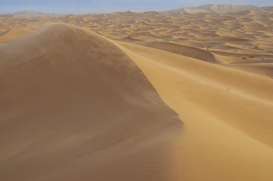 Sand dunes, Erg Chebbi, Sahara, Southern Morocco, Morocco