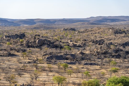 Barren landscape with rocky hills and acacias, African savannah in the evening light, Hobatere Concession, Kunene, Namibia