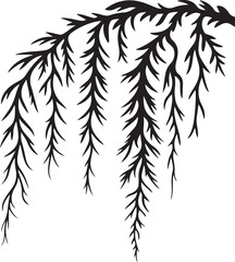 Black Weeping Willow Branches on White Background