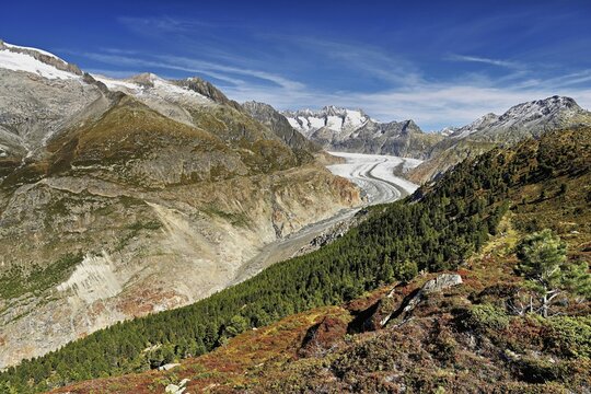 Great Aletsch Glacier, the heart of the Jungfrau-Aletsch-Bietschhorn UNESCO World Heritage Site, Goms, Canton Valais, Switzerland