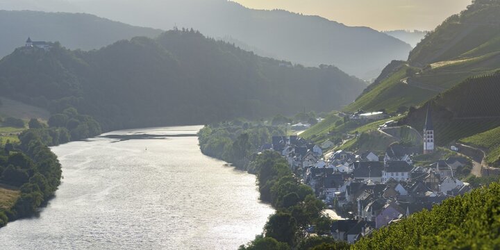 Zell an der Moselle, district of Merl Mosel, district of Cochem-Zell, Rhineland-Palatinate, Germany