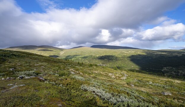 Landscape in the Fjell, Dovrefjell Sunndalsfjella National Park, Norway