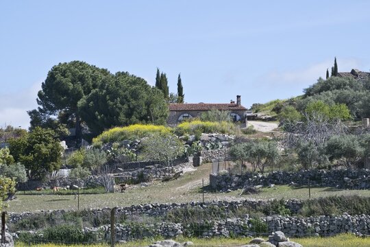 Plots enclosed by dry stone walls in Extremadura, Spain