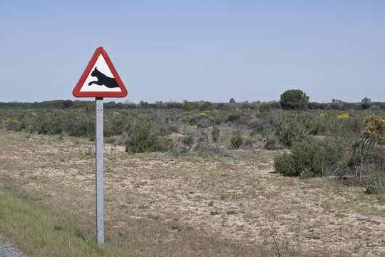 Warning sign lynx change, Coto de Donana, Andalusia, Spain