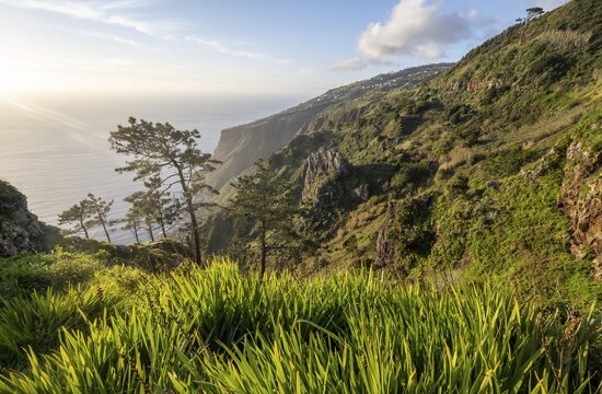 Greetings landscape in front of sea and coast, Miradouro da Raposeira viewpoint, Madeira, Portugal