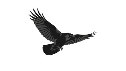 Obraz premium Flying raven