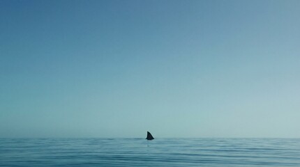 Shark fin breaking the surface of a calm vast blue ocean under a clear sky.