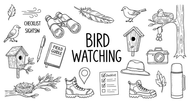 Collection of hand-drawn illustrations for bird watching and nature exploration activities