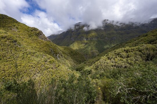 Cloudy forested mountains, view from the hiking trail at Levada do Alecrim, Rabacal, Madeira, Portugal