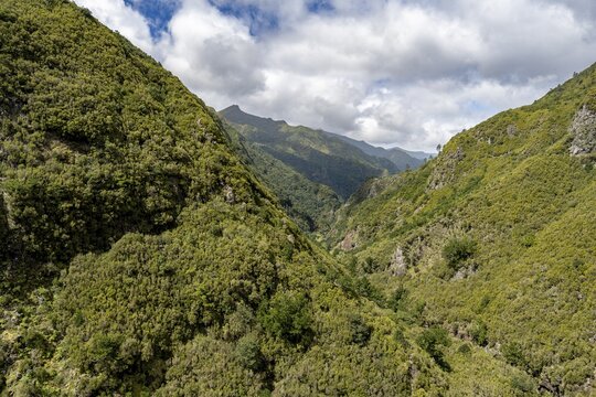 Wooded mountains, view from the hiking trail at Levada das 25 Fontes, Rabacal, Madeira, Portugal