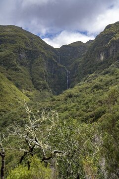Wooded mountains with waterfall, Risco waterfall, view from the hiking trail at Levada das 25 Fontes, Rabacal, Madeira, Portugal