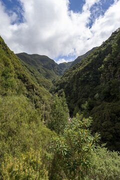 Wooded mountains, view from the hiking trail at Levada das 25 Fontes, Rabacal, Madeira, Portugal