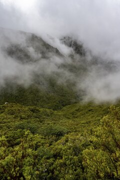 Cloudy forested mountains, view from the hiking trail at Levada do Alecrim, Rabacal, Madeira, Portugal