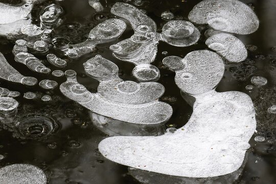 Ice structures in a puddle, air pockets in the ice, Hesse, Germany
