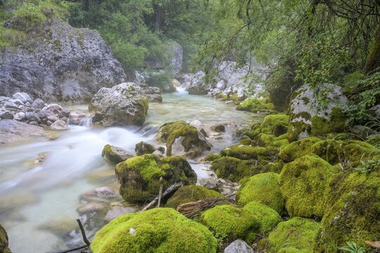 Soca and mossy stones, municipality of Bovec, Slovenia