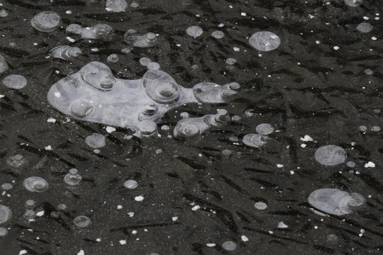 Air pockets, air bubbles and structures in the ice on a frozen water surface, animal-like figure, Hesse, Germany