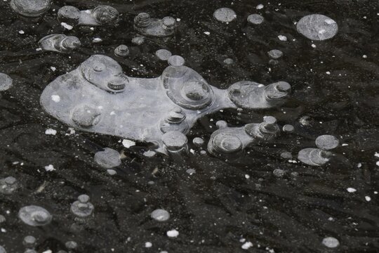 ELuft inclusions, air bubbles and structures in the ice on a frozen water surface, animal-like figure, Hesse, Germany