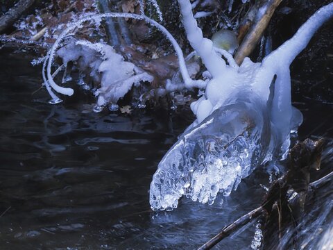 Moose-head-like ice formation on a stream, Moose Head, Hesse, Germany