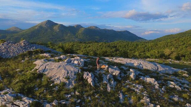 A girl in a red shirt with a border collie walks along the top of a mountain range, with a tall green mountain and forest against the background