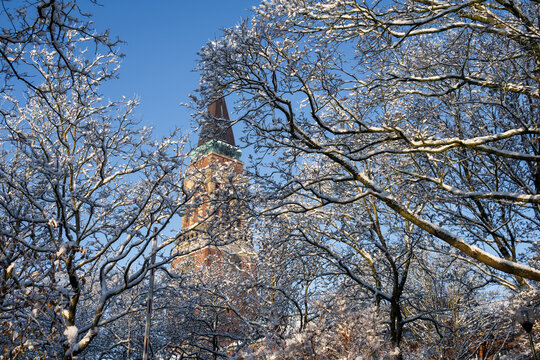 Schnee bedeckte &Auml;ste an einem sonnigen Dezembertag vor blauem Himmel und dem Kieler Rathausturm
