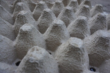 Paper egg tray. Egg crates. Paper egg cartons	