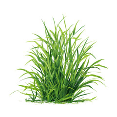 Fototapeta premium Fresh Green Grass with Lush, Vibrant Texture, Perfect for Nature and Landscape Designs ,isolated on transparent background