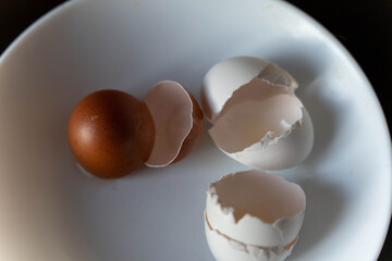Brown and white eggshells on a white plate with one intact brown egg and two broken white eggshells, showcasing the contrast of colors and textures
