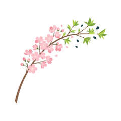 Fototapeta premium Spring Equinox delicate cherry blossom branch with pink flowers and green leaves