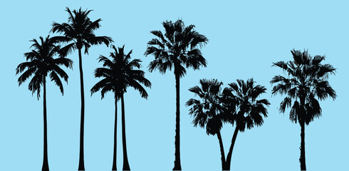 Obraz premium Silhouettes of various palm trees against a stark white background