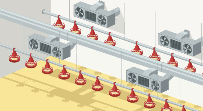 Automated poultry farm feeding system with drinkers and fans.