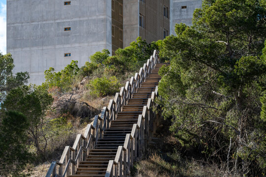 stairs wooden hillside vegetation trail outdoors architecture concrete access sunlight leading upward path with natural texture and calm space summer