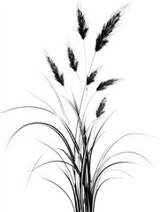 Fototapeta premium Elegant botanical illustration featuring wheat stalks in black and white, creating a minimalist artistic design