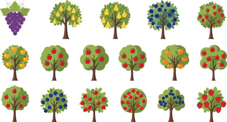 Fruit tree set illustration with apple, orange, lemon, grape, berry and orchard garden plants collection design © Sumon Creative