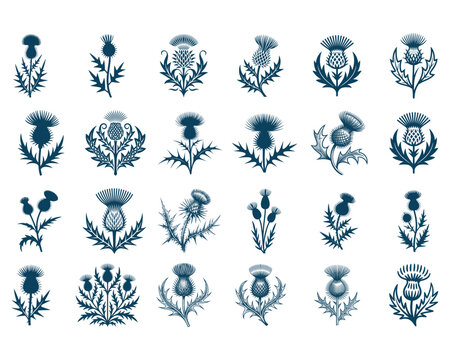 Scottish Thistle SVG Bundle