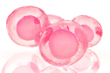Cluster of Four Healthy Pink Cells with Nuclei