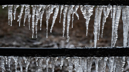 Ice on a Florida paddock fence