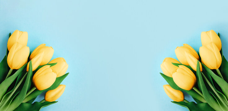 March 8 banner with spring tulip flowers on a blue background top view. copy space