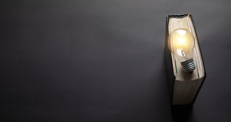 Light bulb and book on the black background.