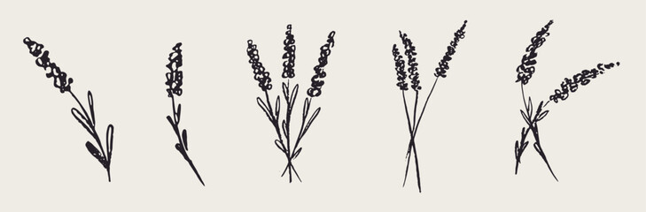 Naklejka premium Grunge minimal charcoal chalk lavender flower collection. Vector illustration of ink hand drawn garden or wild herbs set. Wax crayon drawing style. Floral silhouette elements for scrapbooking design.