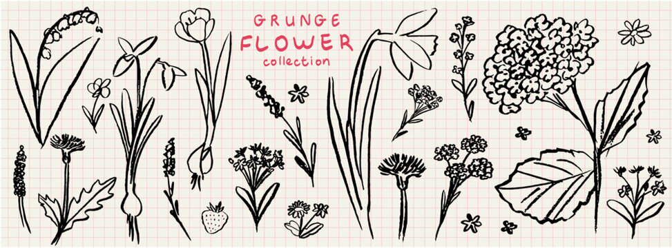 Grunge minimal charcoal or chalk spring summer flower collection. Vector illustration of ink hand drawn wild and garden herbs set. Wax crayon drawings. Floral silhouette elements for scrapbooking.