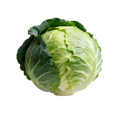 Fototapeta premium [Transparent Background PNG]Fresh green cabbage with vibrant leaves for healthy cooking