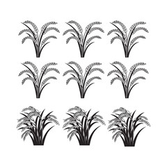 Stylized Black and White Rice or Wheat Plant Icons