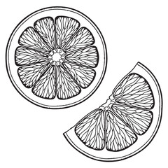 Obraz premium Black and White Illustration of Whole and Sliced Grapefruit