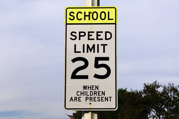 School Zone Speed Limit 25 Sign