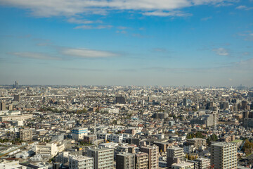 Fototapeta premium 東京江戸川区の船堀タワーホールからの眺め、東京江戸川区の眺め、密集した東京の住宅地、青空の下の大都会東京