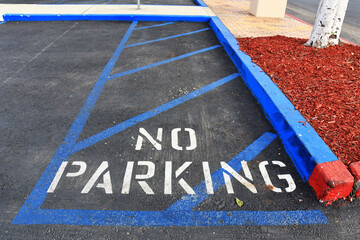 No Parking Disabled Access Ground Marking