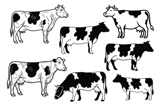 Cow Sketch Collection Line Art Vector Illustration Set for Farm Agriculture Sticker Tshirt Print and Creative Design