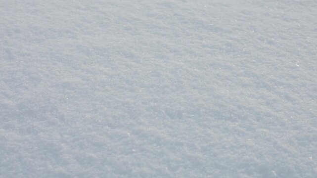 Soft white snowdrifts create a peaceful winter texture. Sunlight highlights the gentle bumps and natural curves of the snow surface. A serene and cold weather background perfect for seasonal projects.